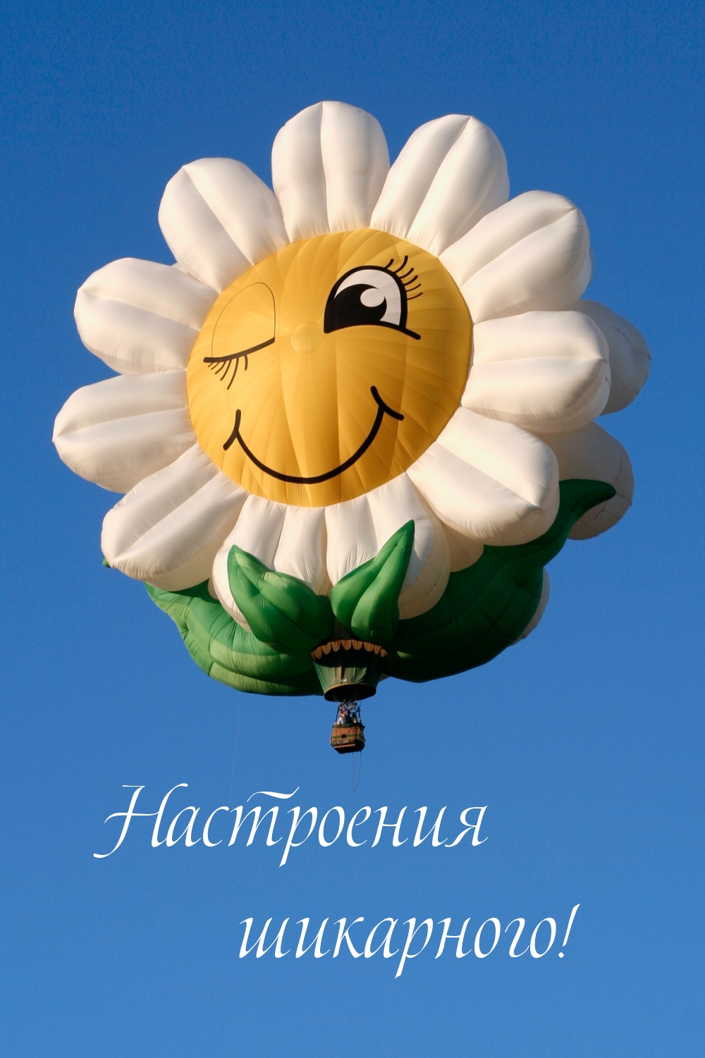 Настроения шикарного!