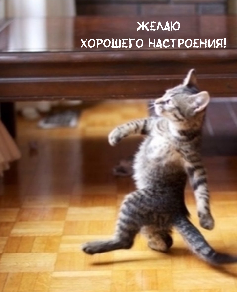 Желаю хорошего настроения!