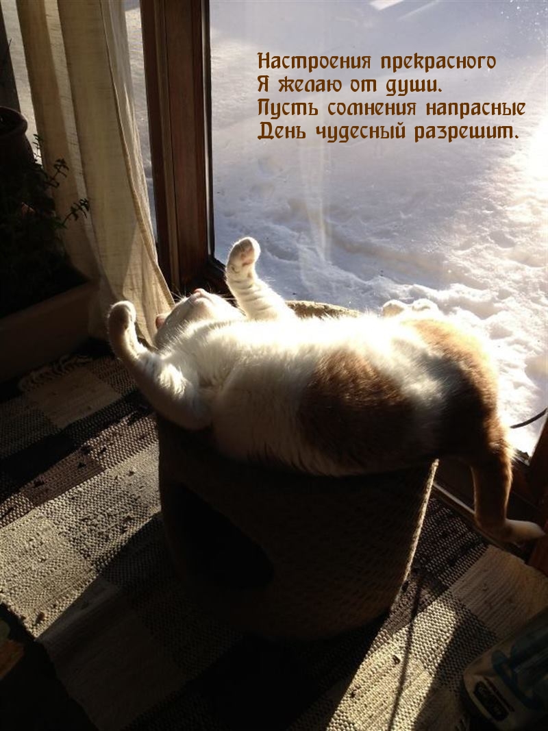 Настроения прекрасного я желаю от души.