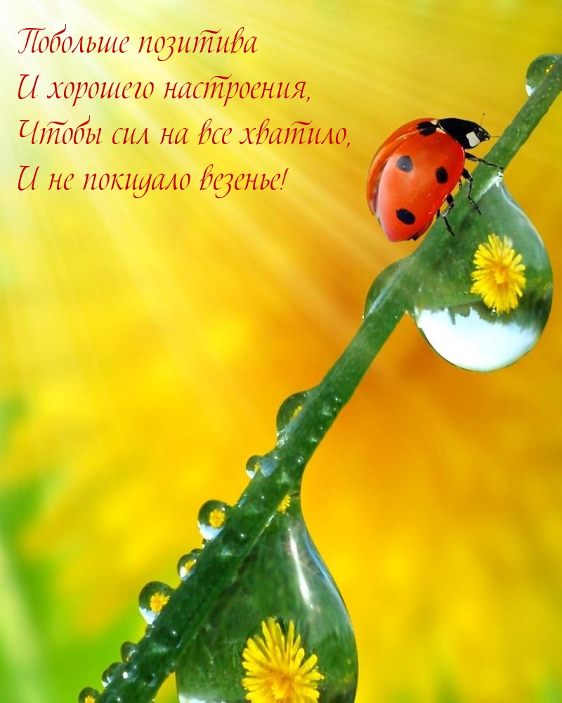 Побольше позитива и хорошего настроения