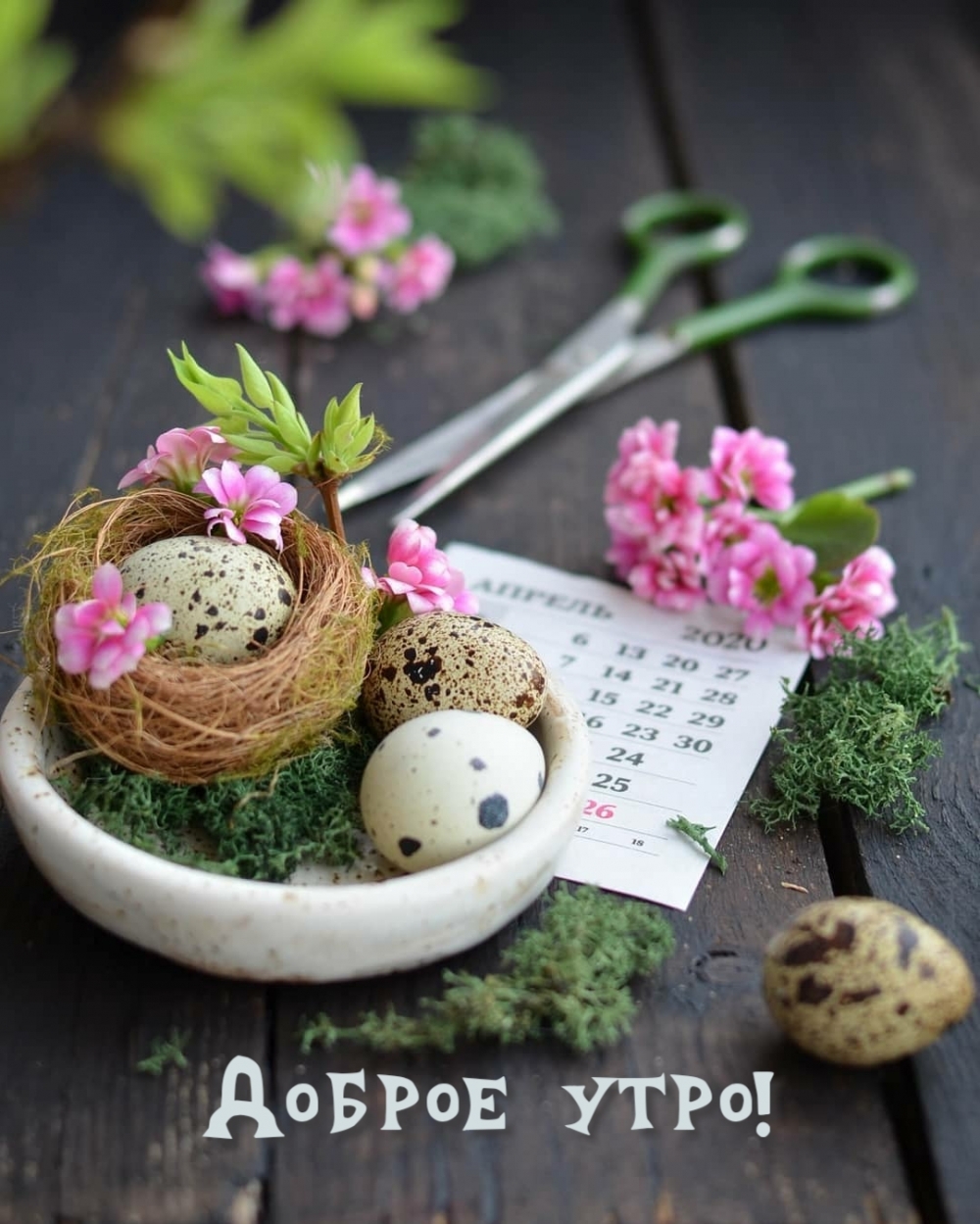 Доброе утро!