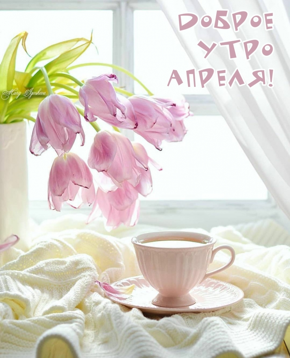 Доброе утро апреля!