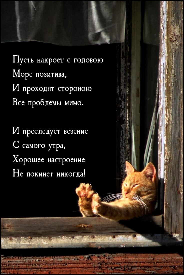 Пусть накроет с головою море позитива