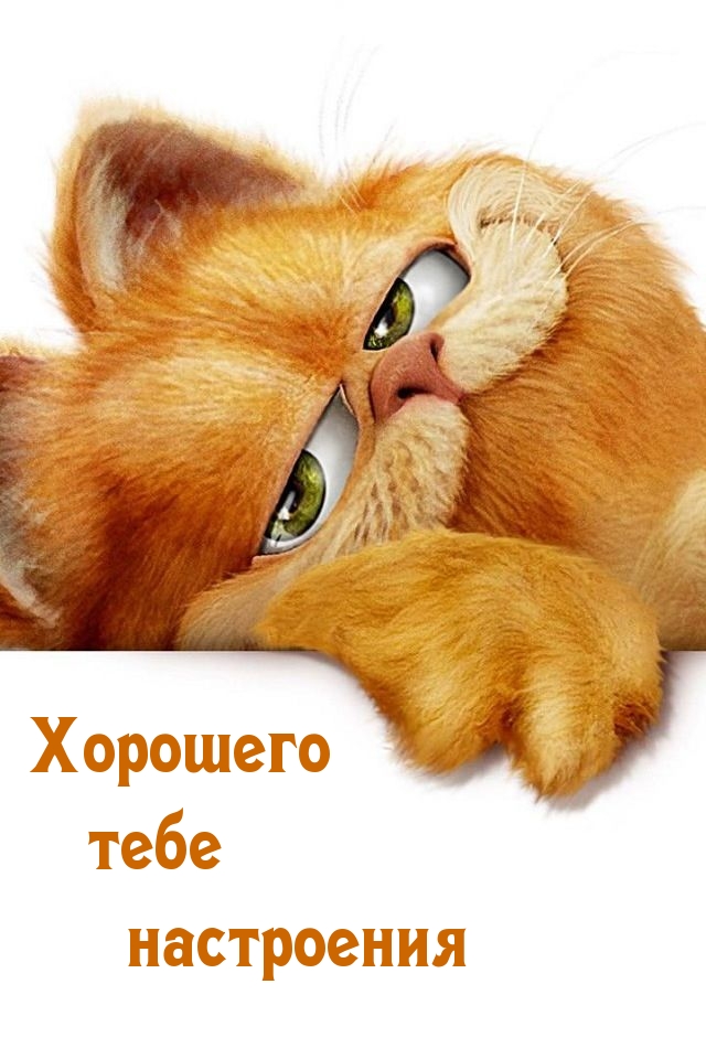 Хорошего тебе настроения