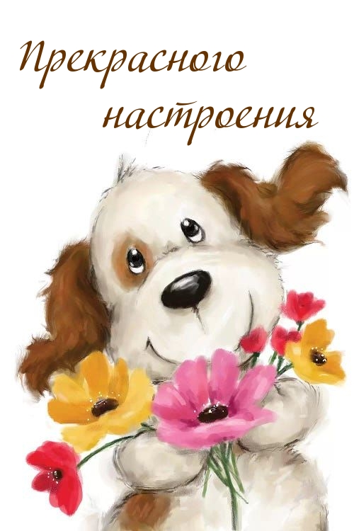 Прекрасного настроения