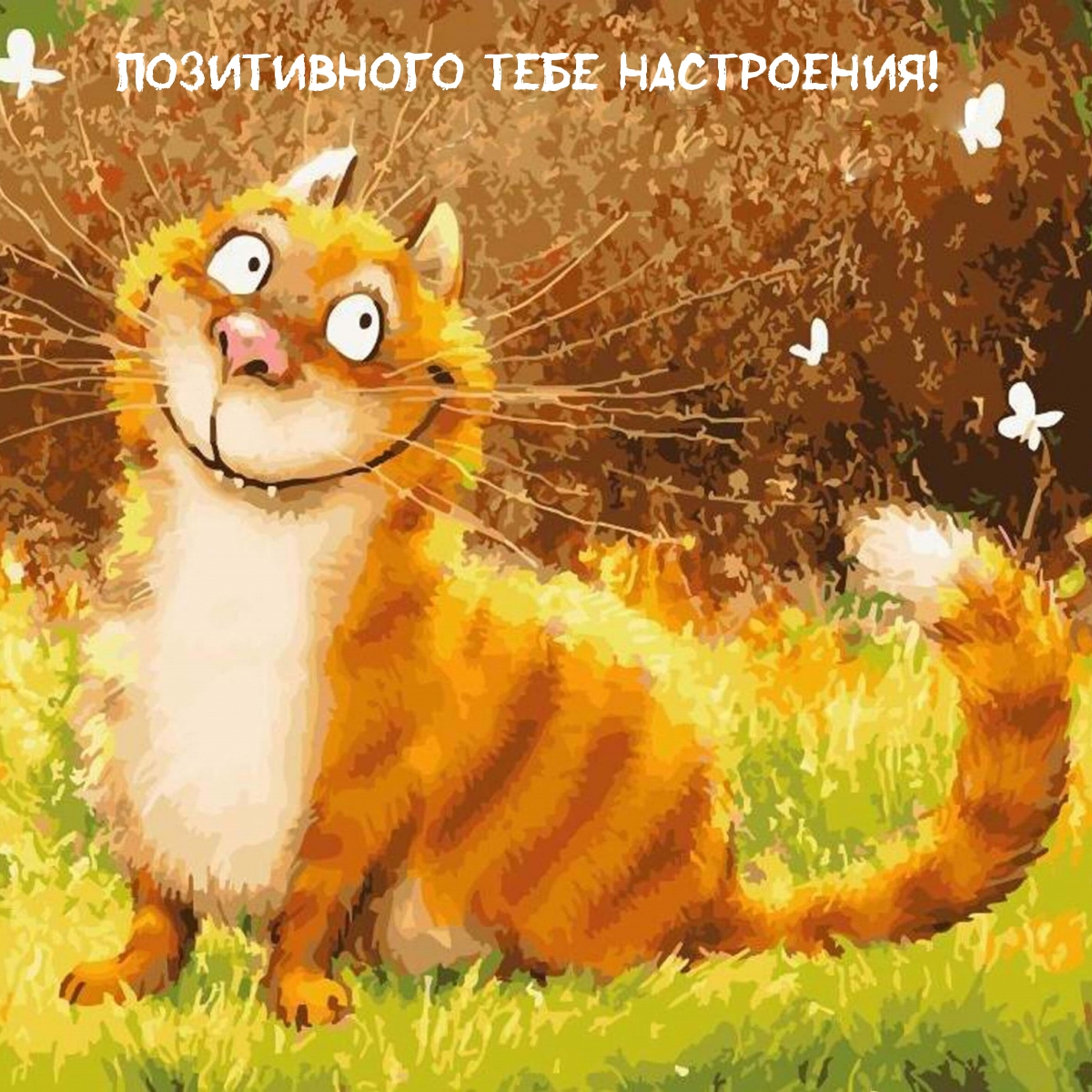 Позитивного тебе настроения!