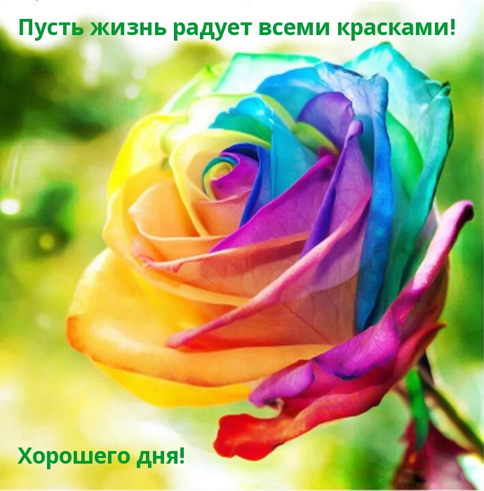 Пусть жизнь радует всеми красками! Хорошего дня!