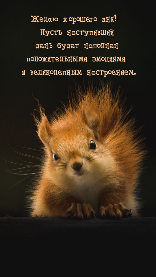 Желаю хорошего дня!
