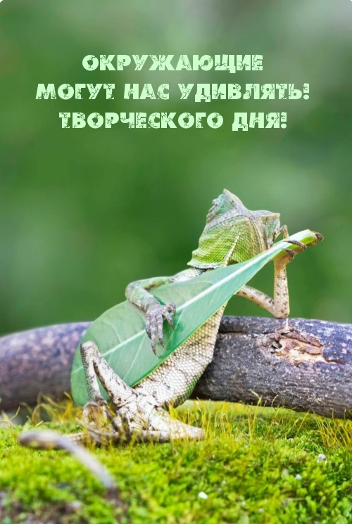 Окружающие могут нас удивлять! Творческого дня!