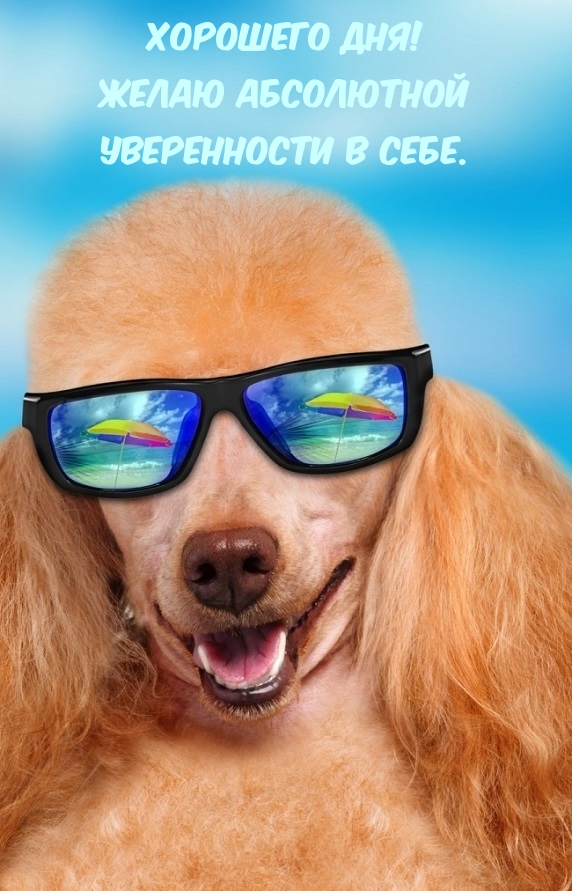 Хорошего дня! Желаю абсолютной уверенности в себе.