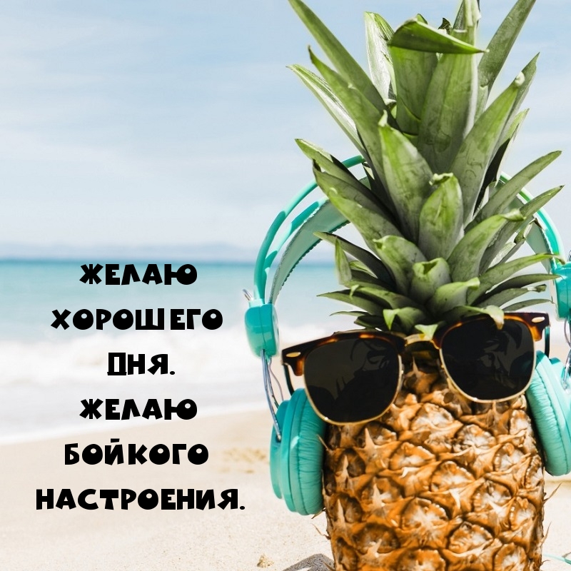 Желаю хорошего дня. Желаю бойкого настроения.