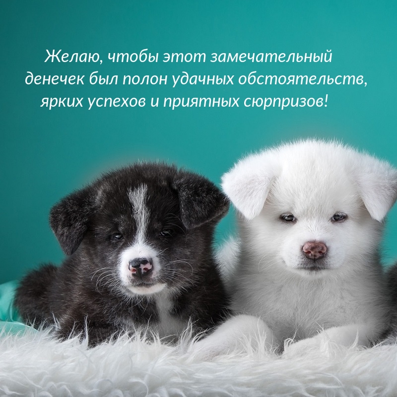 Желаю чтобы этот замечательный денечек был полон ярких успехов