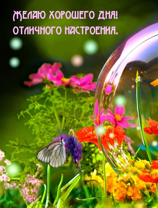 Желаю хорошего дня! Отличного настроения.