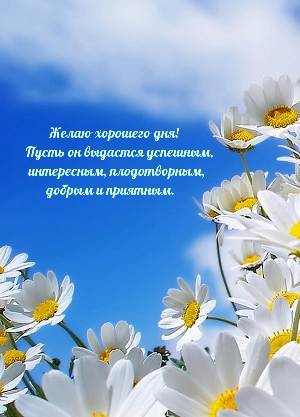 Желаю хорошего дня! Пусть он выдастся успешным.