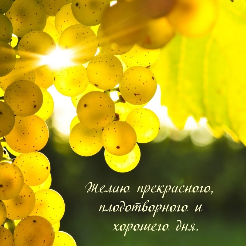Желаю прекрасного, плодотворного и хорошего дня.
