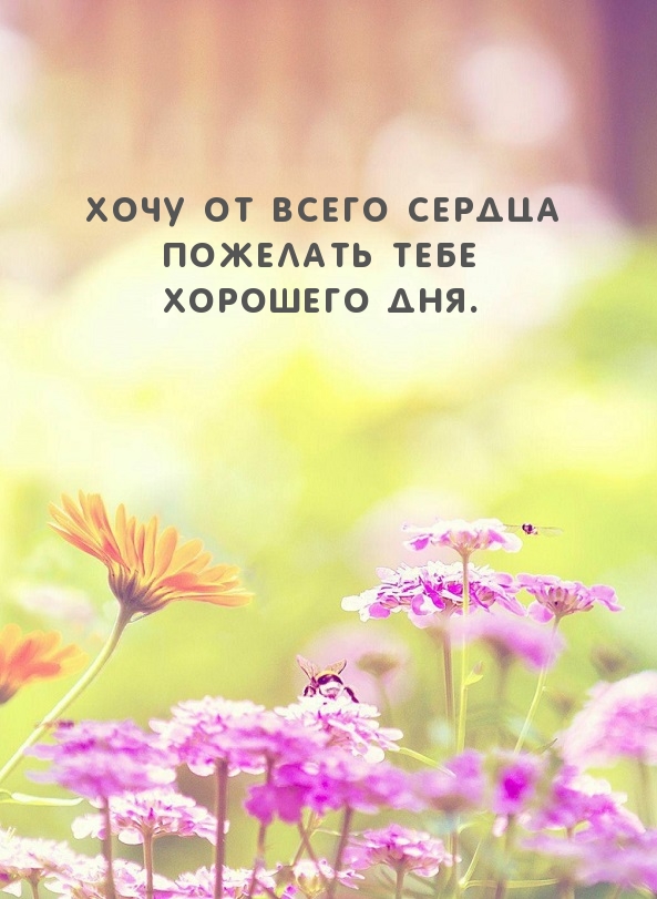 Картинка - Хочу от всего сердца пожелать тебе хорошего дня..