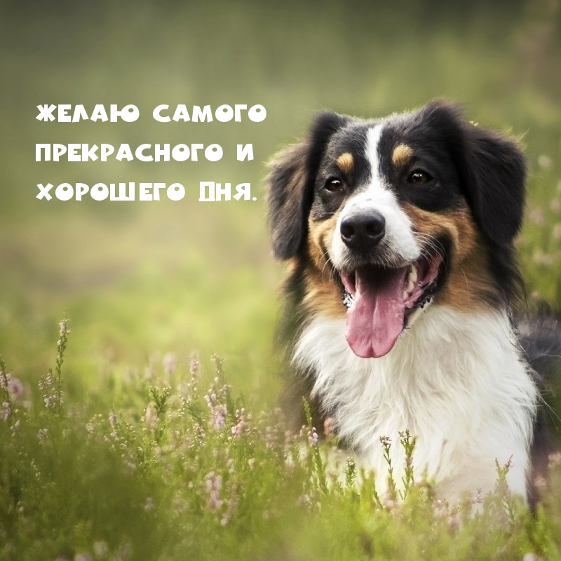 Желаю самого прекрасного и хорошего дня.
