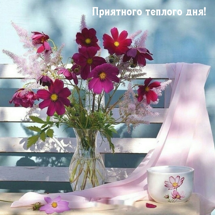 Приятного теплого дня!