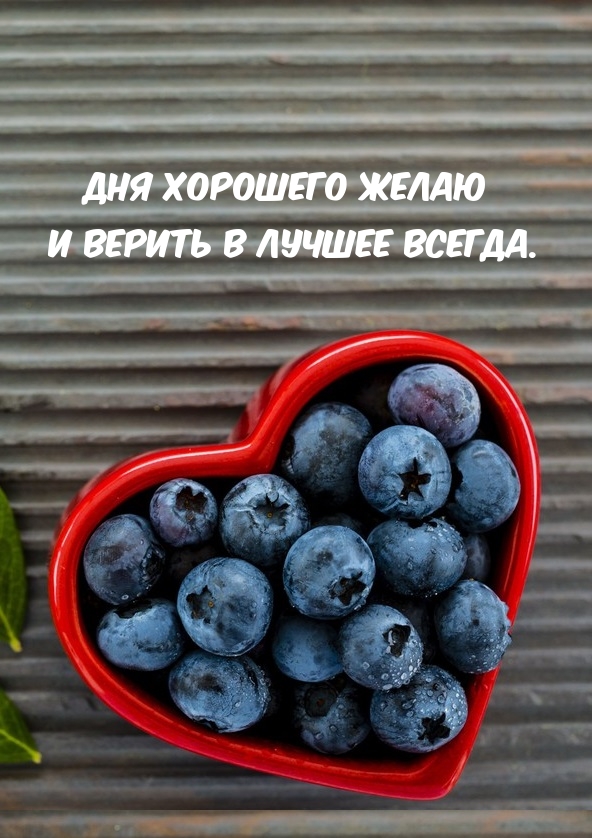 Дня хорошего желаю и верить в лучшее всегда.