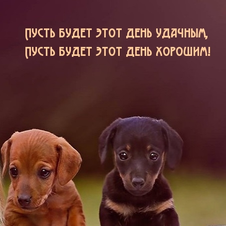 Пусть будет этот день удачным, пусть будет этот день хорошим!