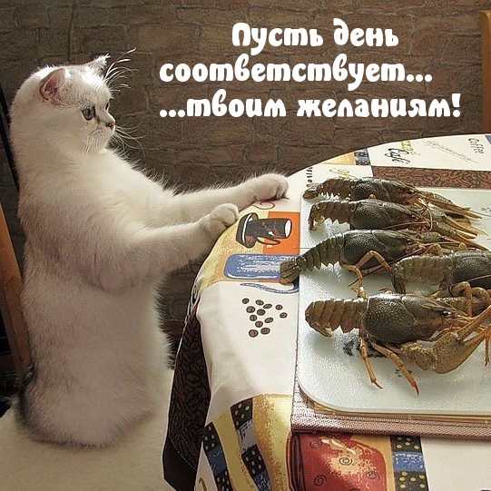 Пусть день соответствует… …твоим желаниям!