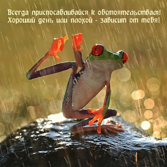 Хороший день или плохой — зависит от тебя!