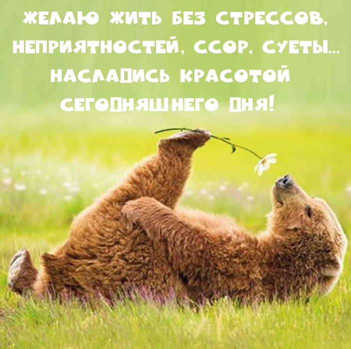 Насладись красотой сегодняшнего дня!