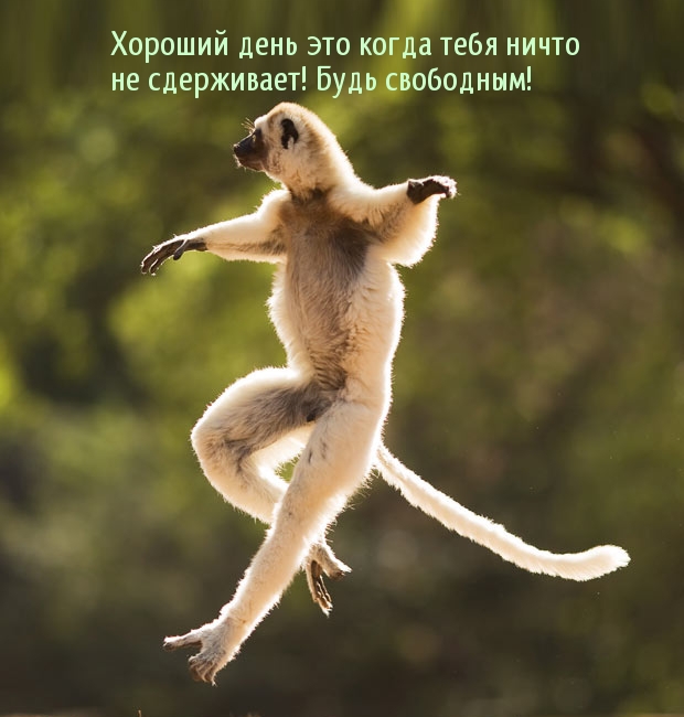 Хороший день это когда тебя ничто не сдерживает! Будь свободным!