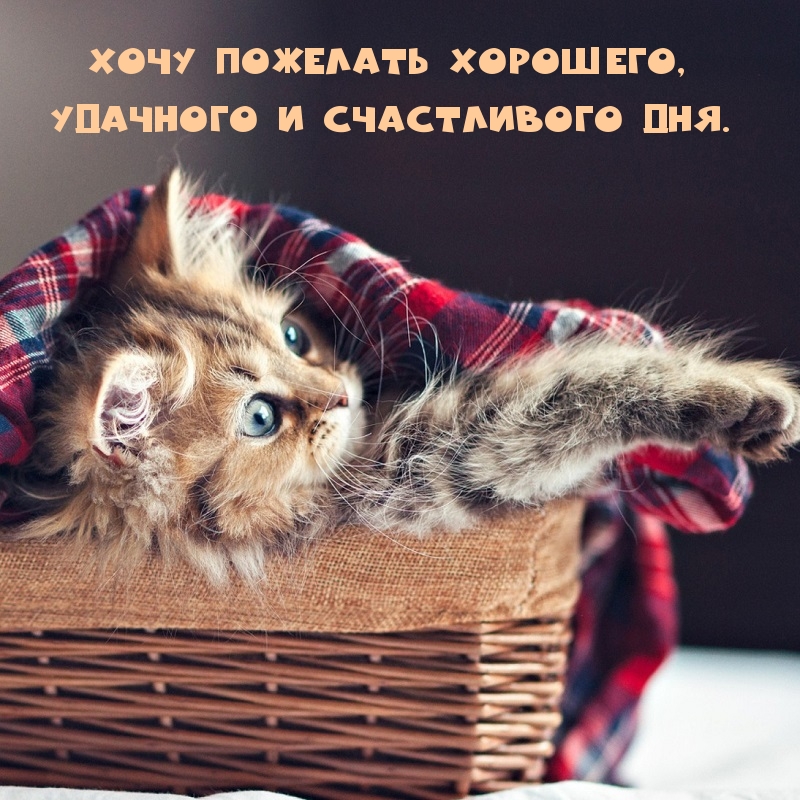 Хочу пожелать хорошего, удачного и счастливого дня.