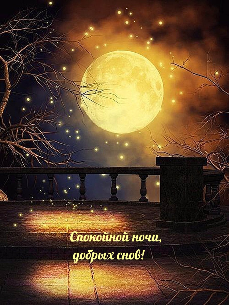 Спокойной ночи, добрых снов!