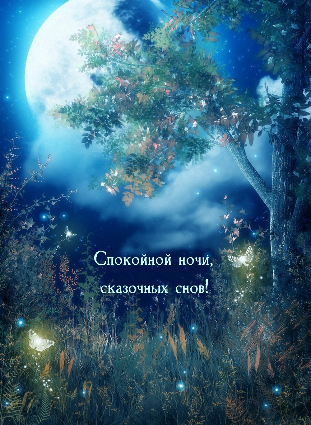 Спокойной ночи, сказочных снов!