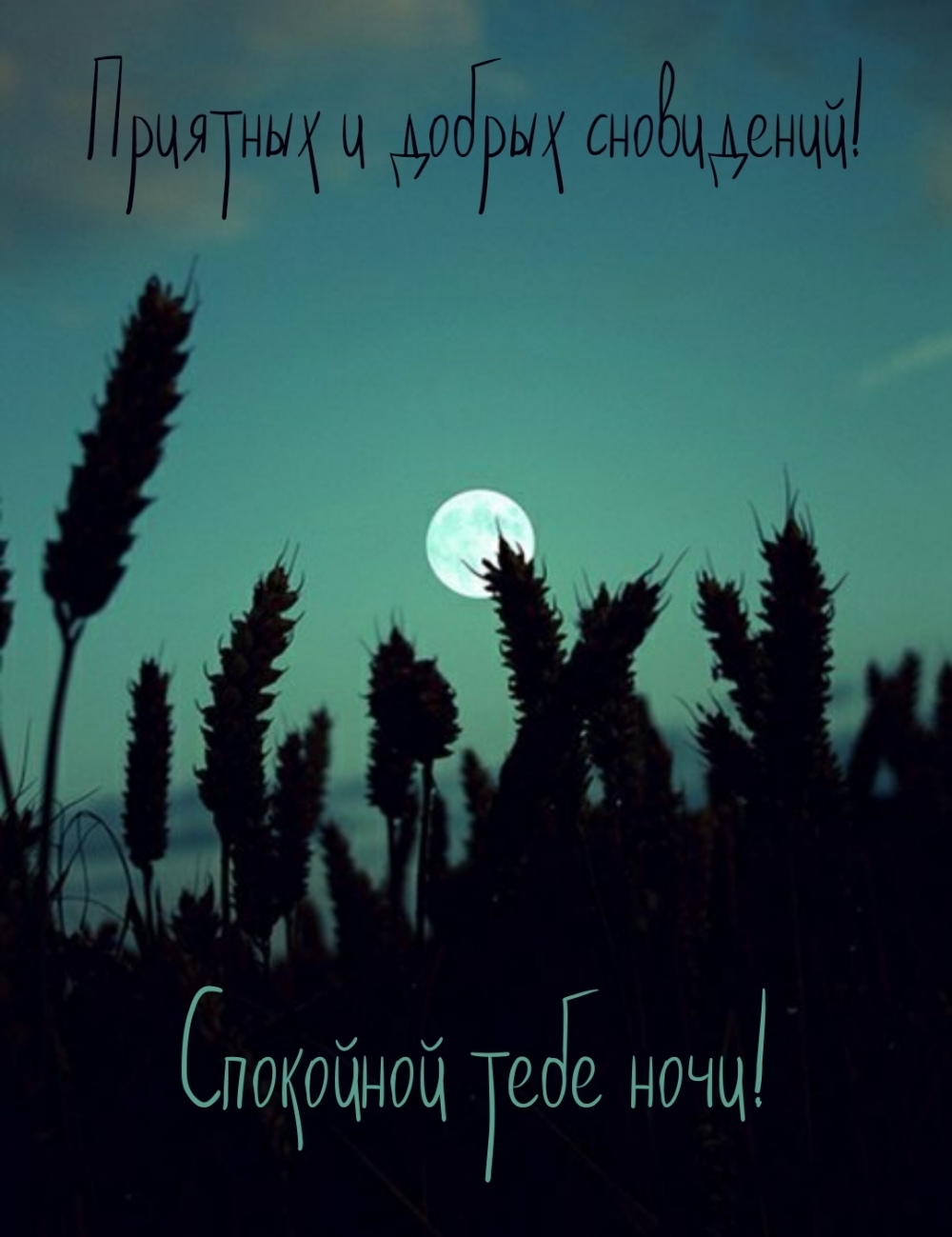 Спокойной тебе ночи! Приятных и добрых сновидений!