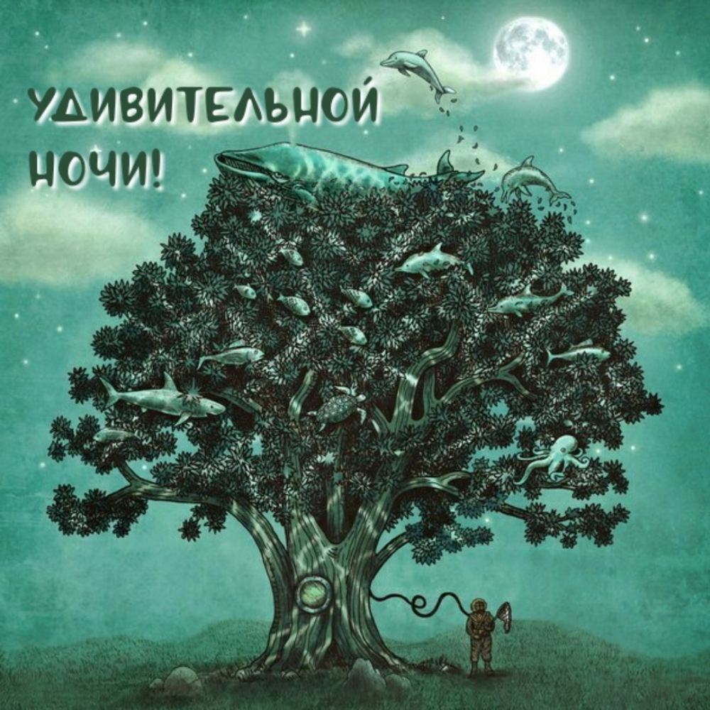 Удивительной ночи!
