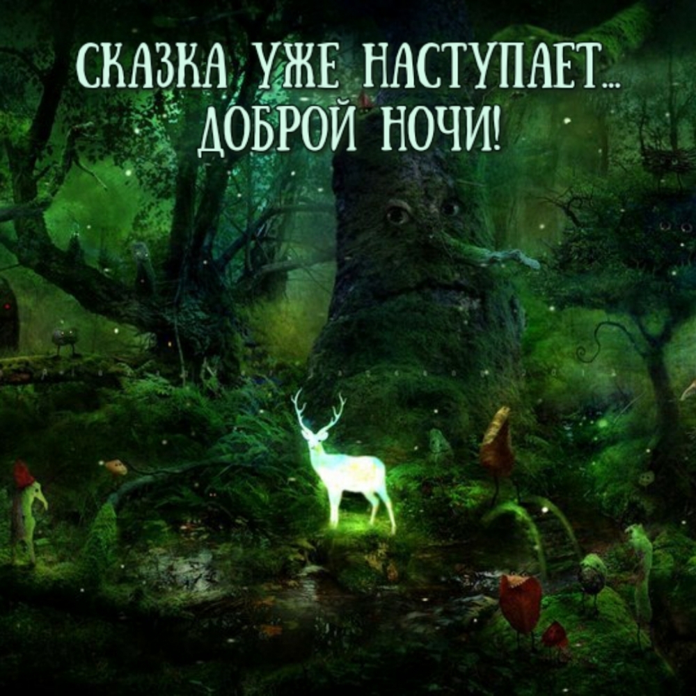 Сказка уже наступает… Доброй ночи!