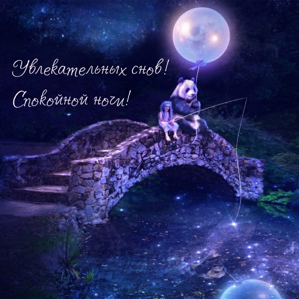 Увлекательных снов! Спокойной ночи!