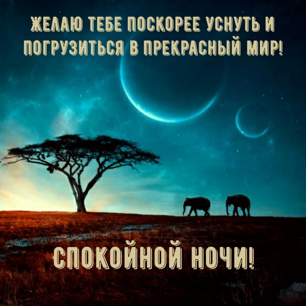 Желаю тебе поскорее уснуть и погрузиться в прекрасный мир!