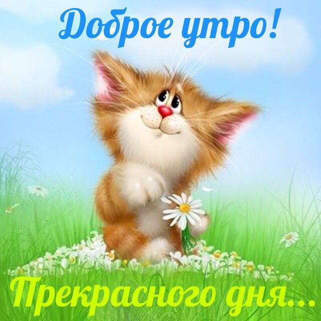 Доброе утро и прекрасного дня!