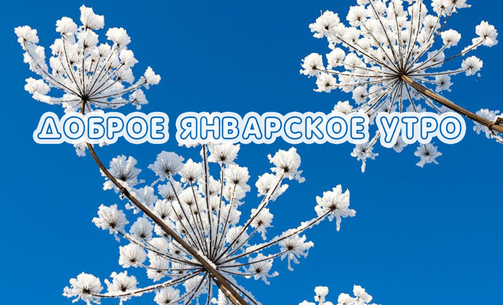 Картинка - Доброе январское утро!.