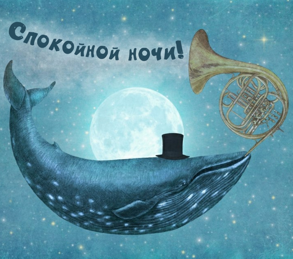 Спокойной ночи!