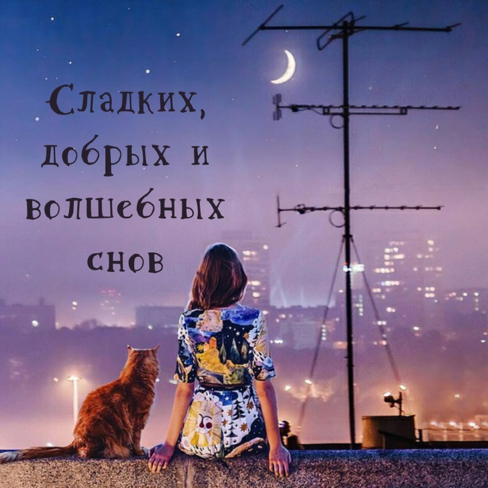 Сладких, добрых и волшебных снов