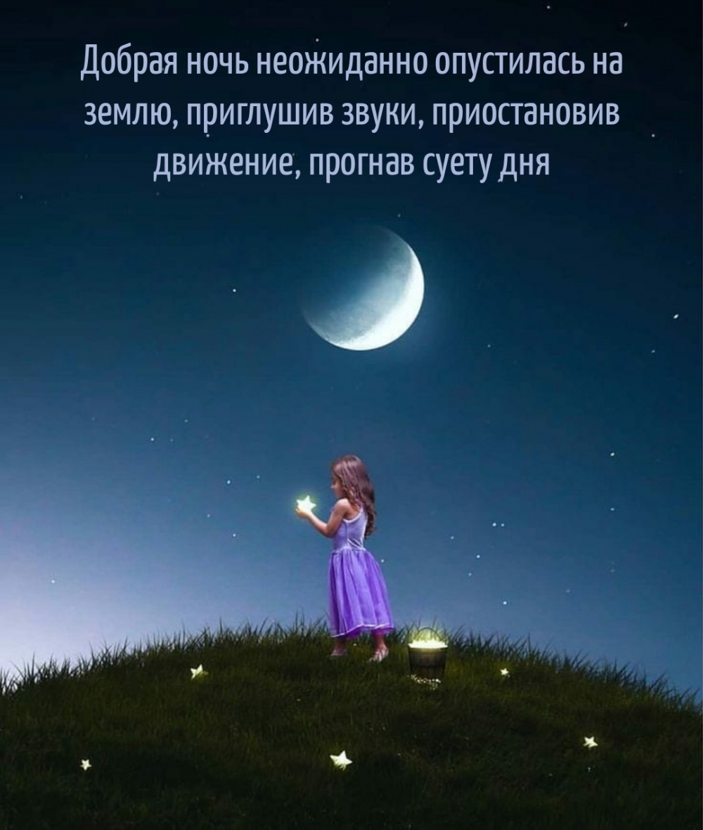 Добрая ночь неожиданно опустилась на землю