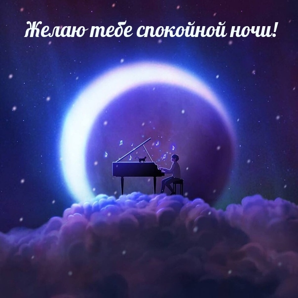 Желаю тебе спокойной ночи!