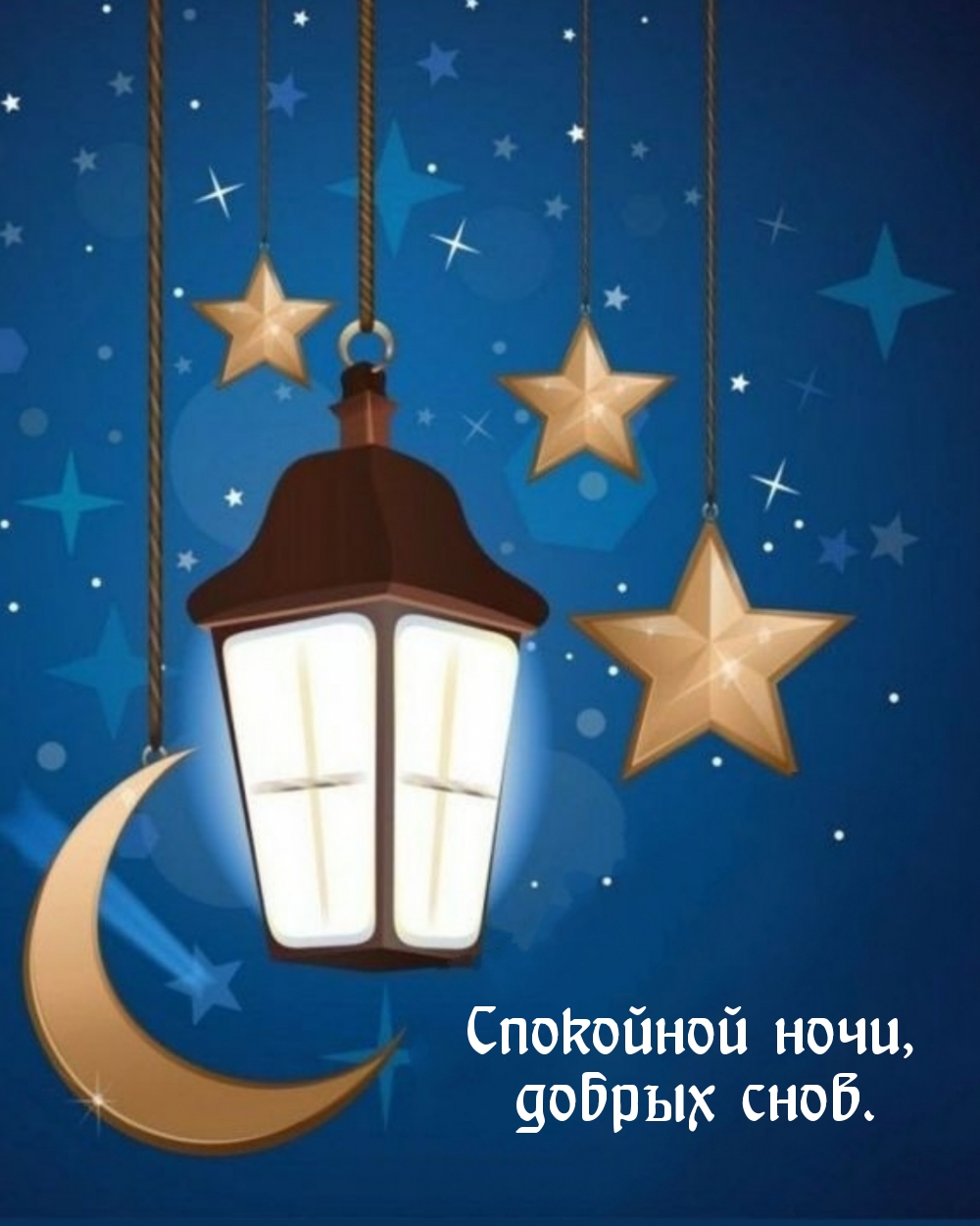 Спокойной ночи, добрых снов.