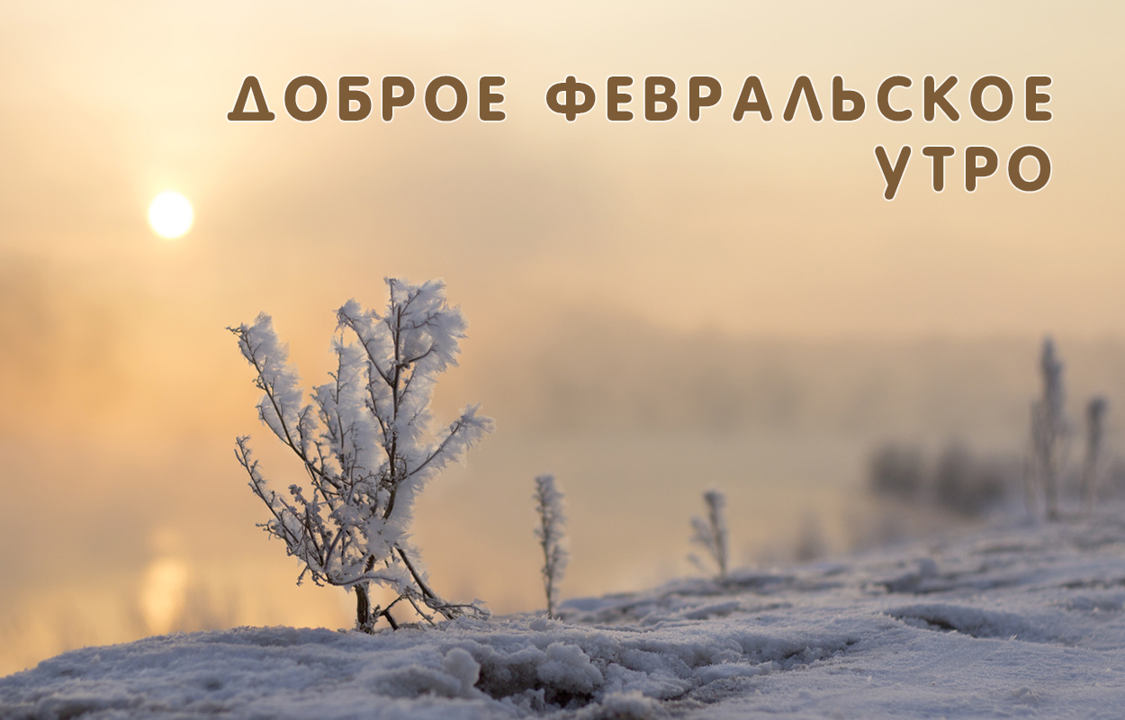 Доброе февральское утро!