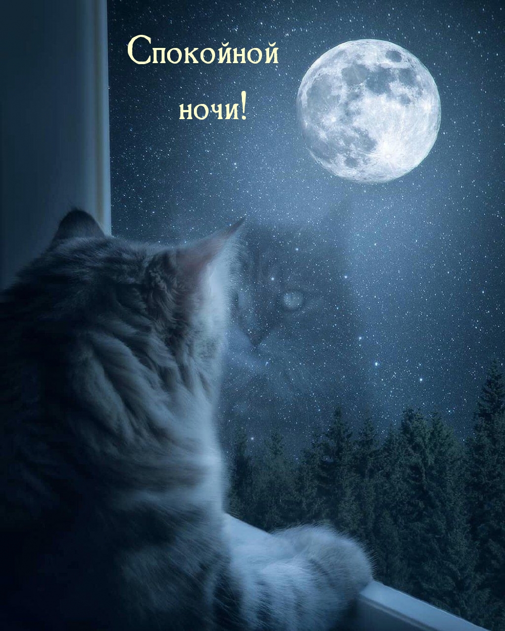 Спокойной ночи!