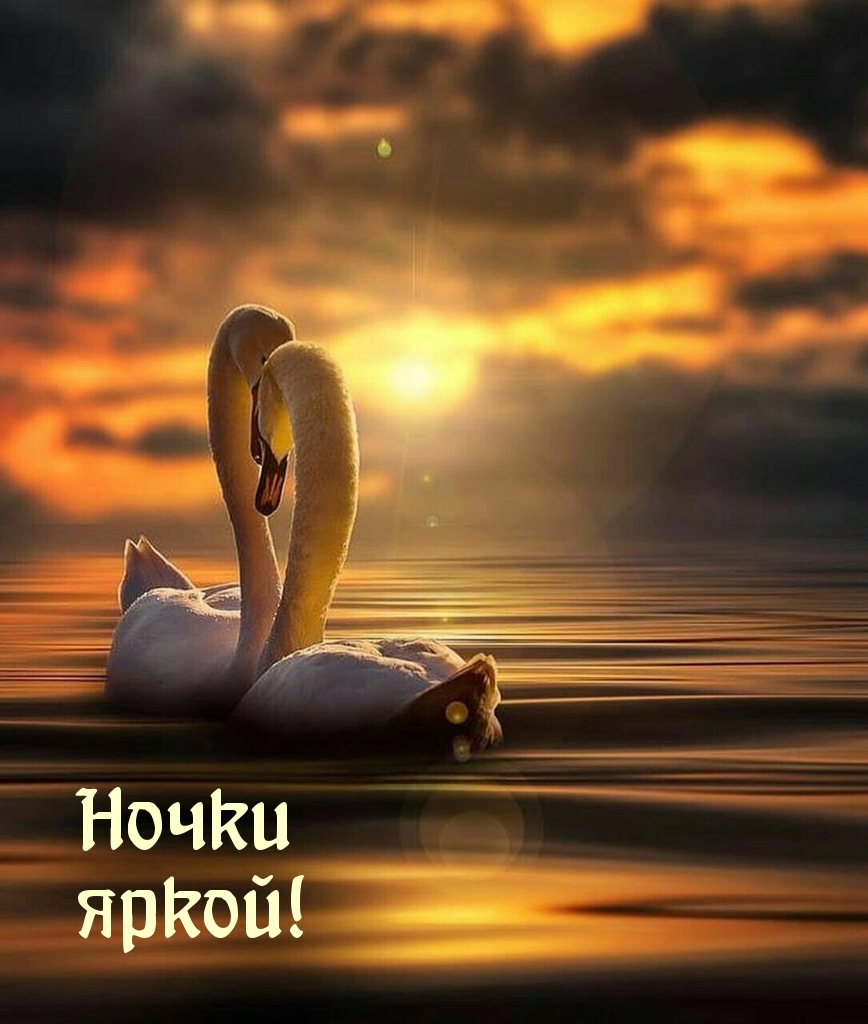 Ночки яркой!