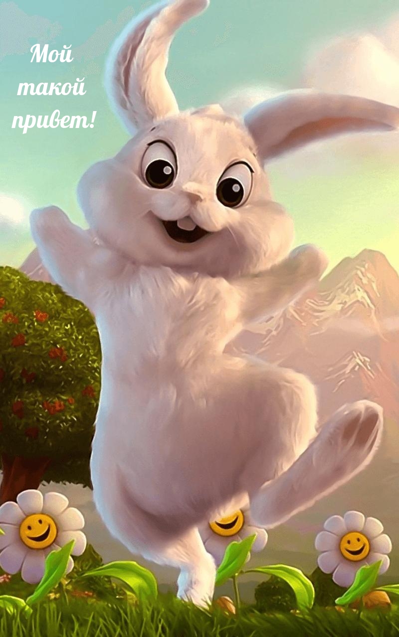 Мой такой привет!