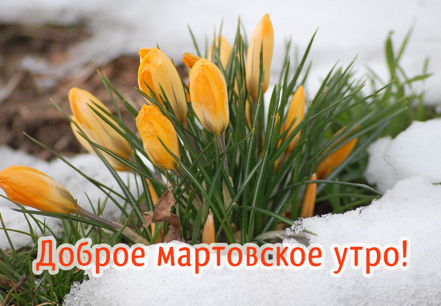 Доброе мартовское утро!