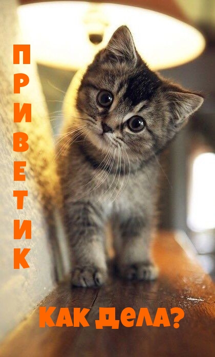 Приветик Как дела?