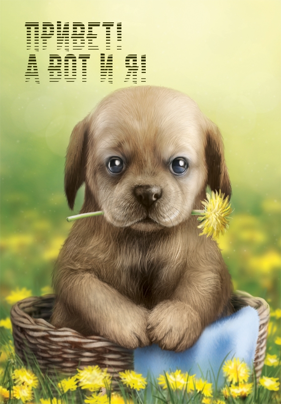 Привет! А вот и Я!